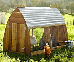 Million Dollar Chicken Coop